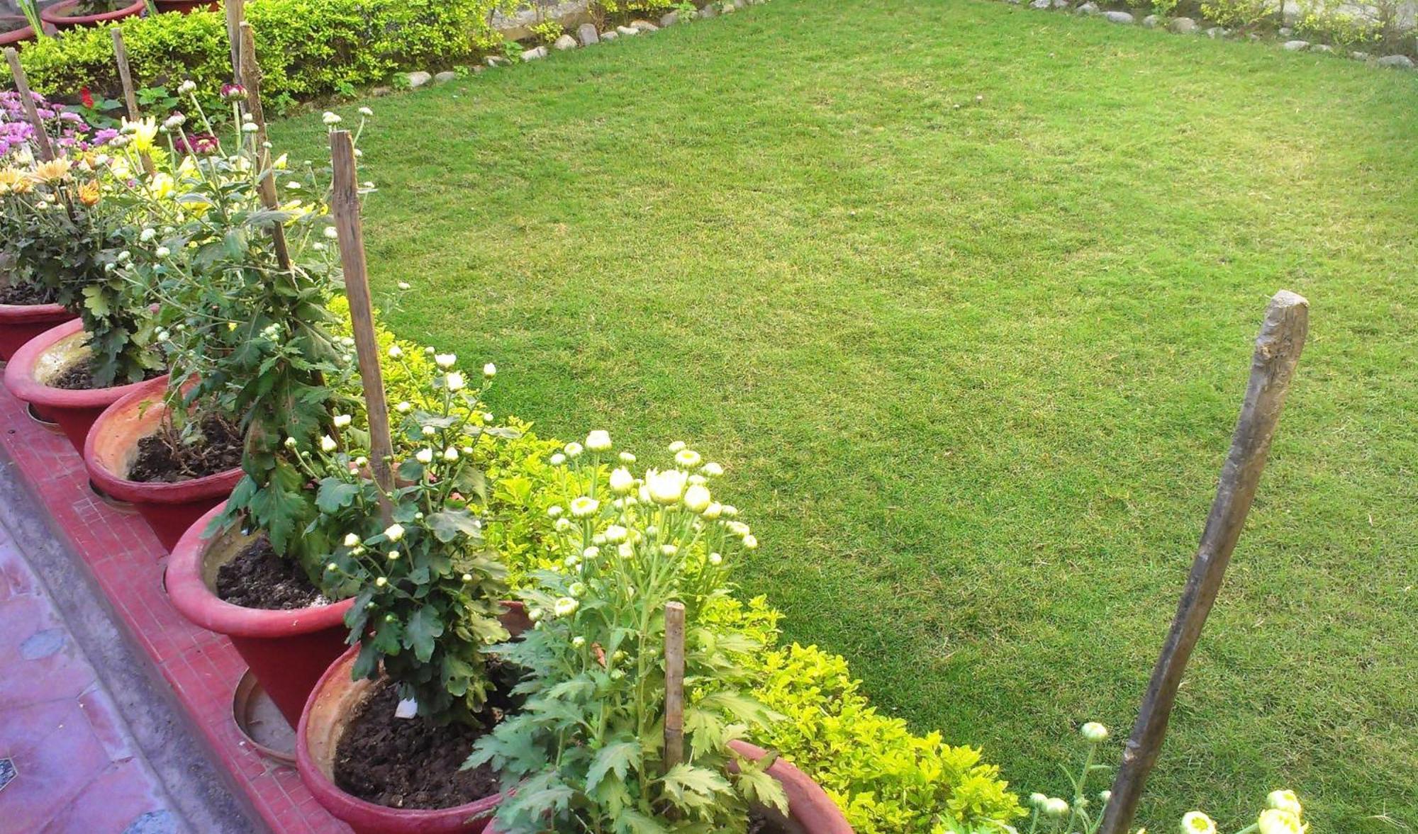 Fully Furnished Ish, Atithya Homestay With Various Amenities And Free Services In Lucknow, India מראה חיצוני תמונה
